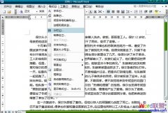 在Word2003文档中怎么分栏